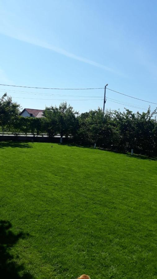 Vila Alexa Costineşti Exteriér fotografie