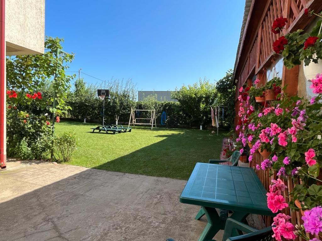 Vila Alexa Costineşti Exteriér fotografie