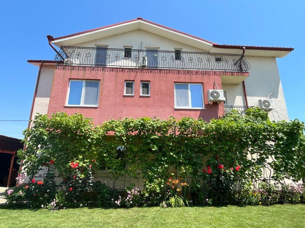 Vila Alexa Costineşti Exteriér fotografie