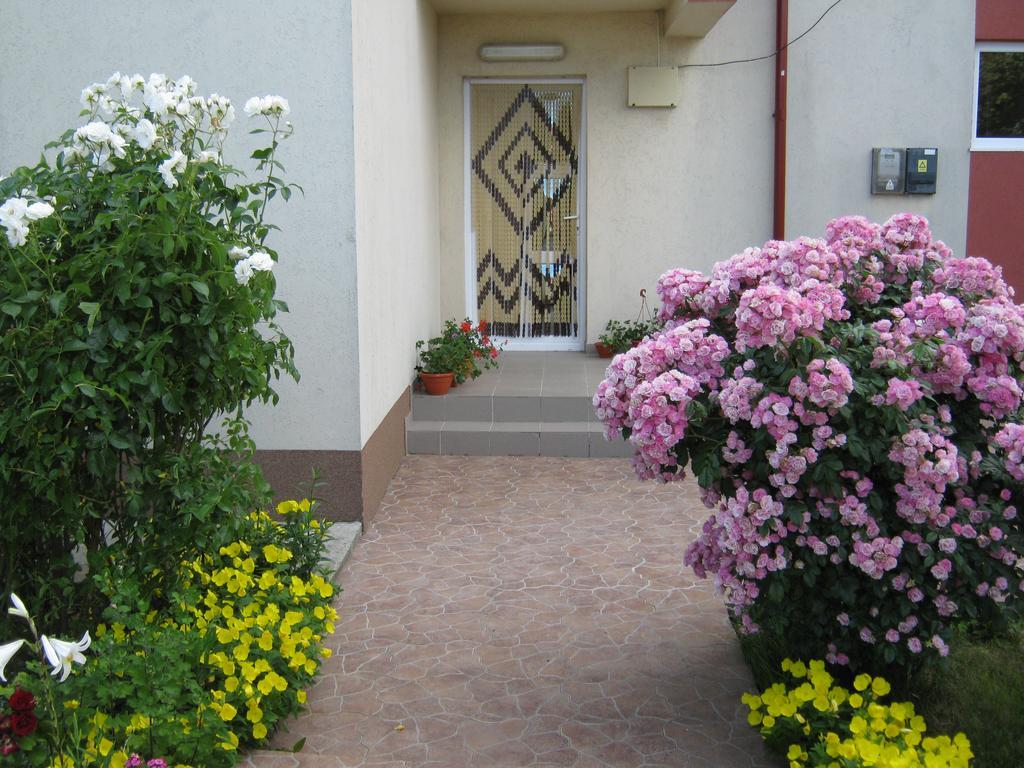 Vila Alexa Costineşti Exteriér fotografie